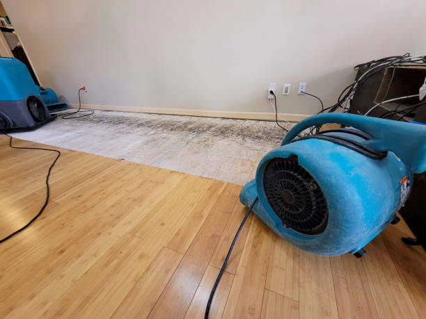 Professional Basement Flood Cleanup technician working in Newton Highlands, MA